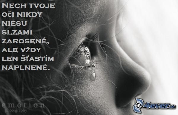 [obrazky