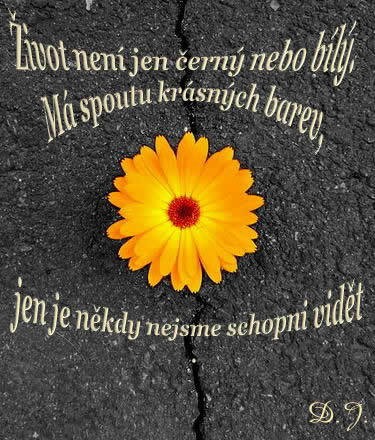barvy ivota