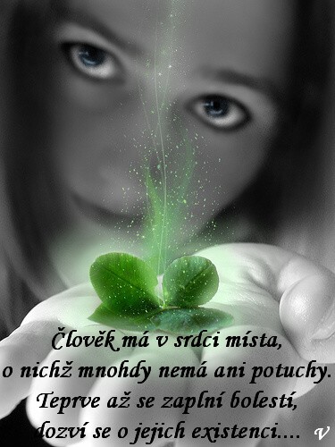 lovk m v srdci msta