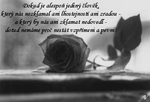 Dokud je