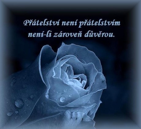 dvra