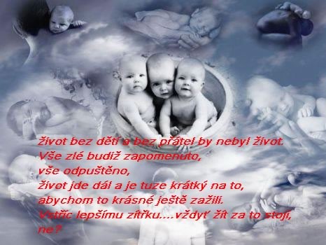ivot bez dt