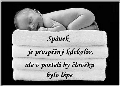 spnek