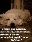 articleImage (5)