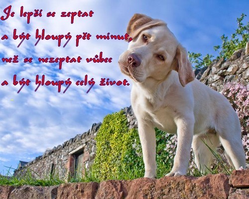 je lep se zeptat