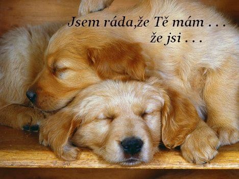jsem rda