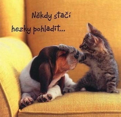 nkdy sta hezky pohladit