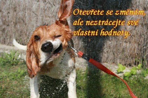 otevete