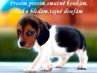 prosm,smutn