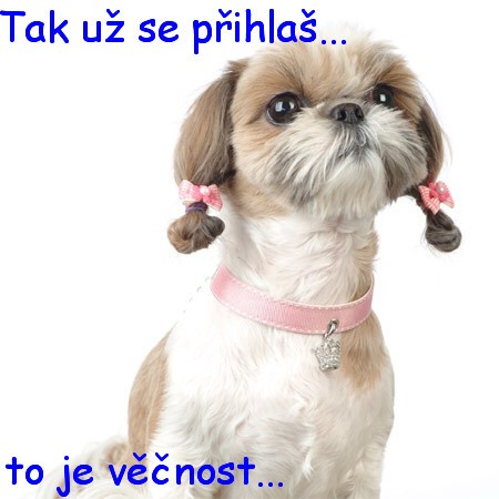 tak u se