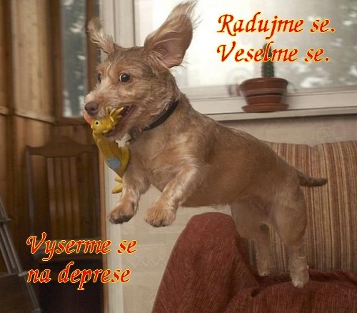 vyserme se